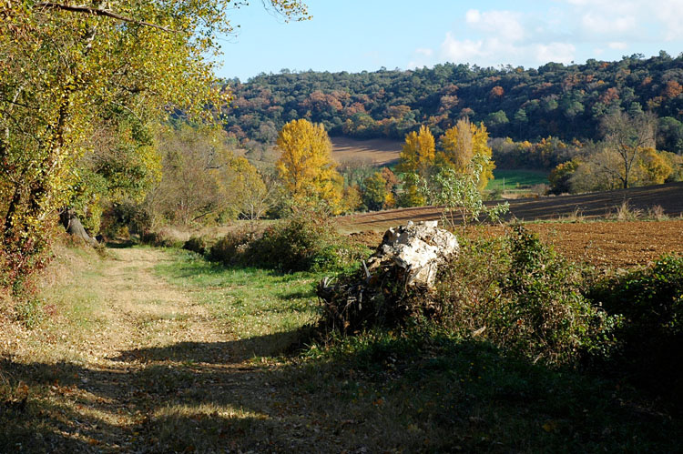 Chambre d'hôte Villelongue Aude