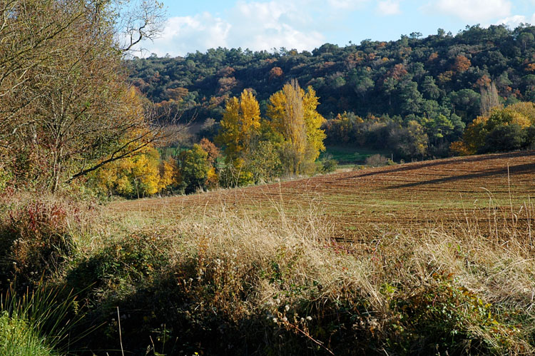 Chambre d'hôte Villelongue Aude